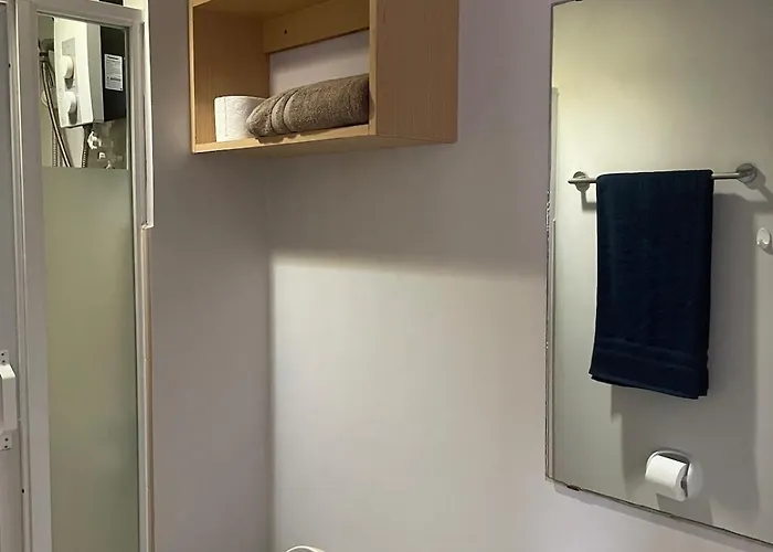 Uli-anan Avida Tower 1 It Park 1br